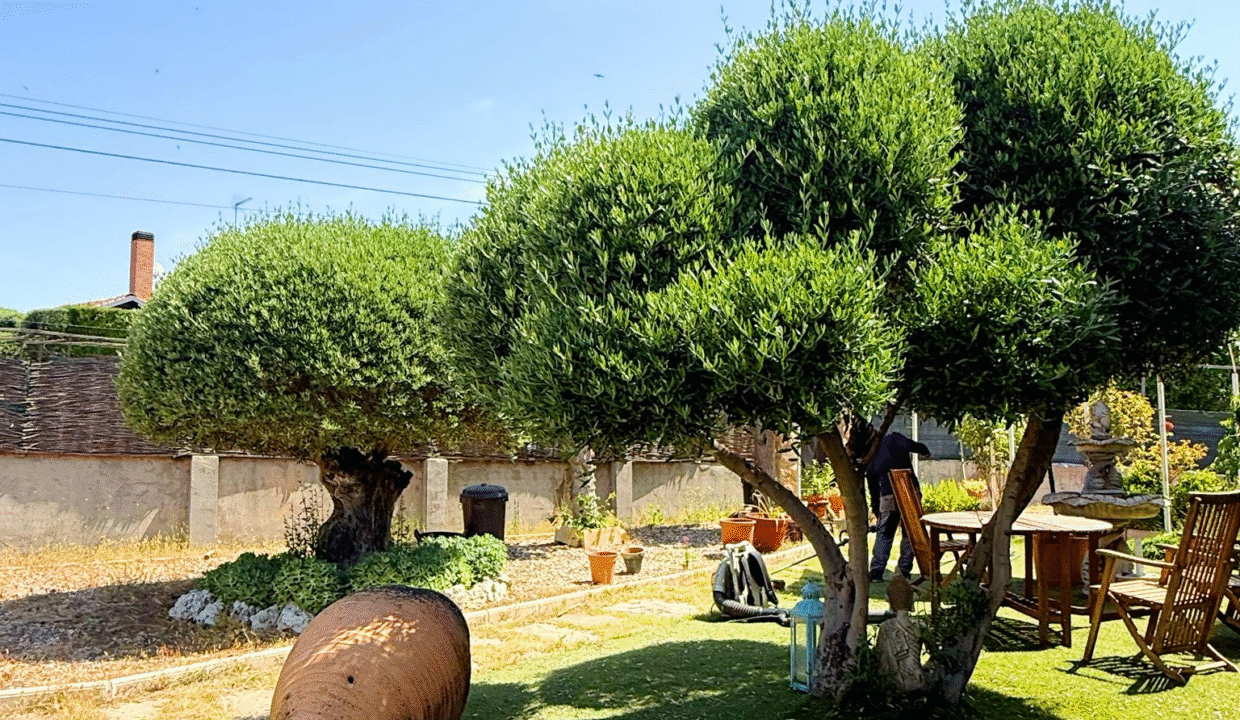 2975b6fe-b8ea-4377-b632-34241ff66a5a